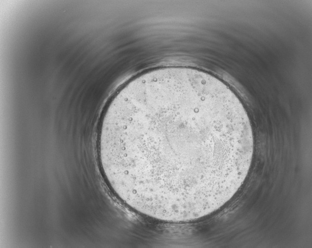 X0000060560856200511101601