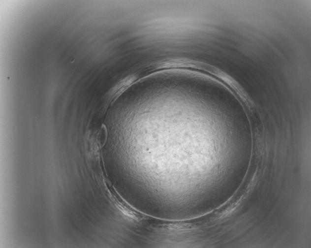 X0000060560857200511101601