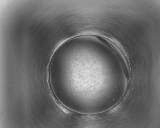 X0000060560862200511101602