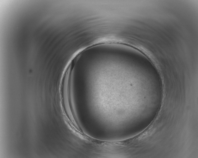 X0000060560864200511101602