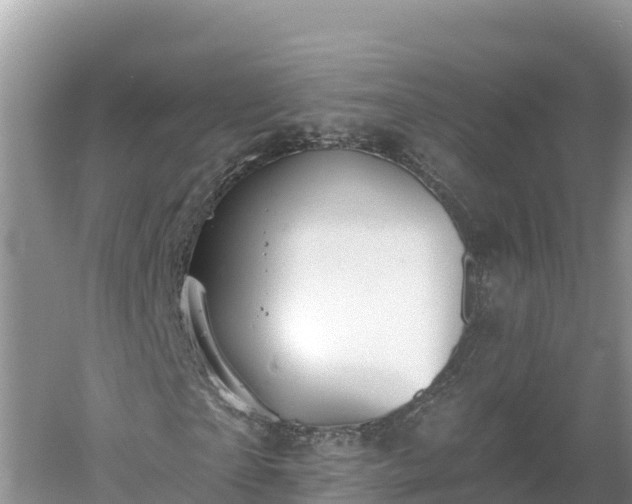 X0000060560865200511101601