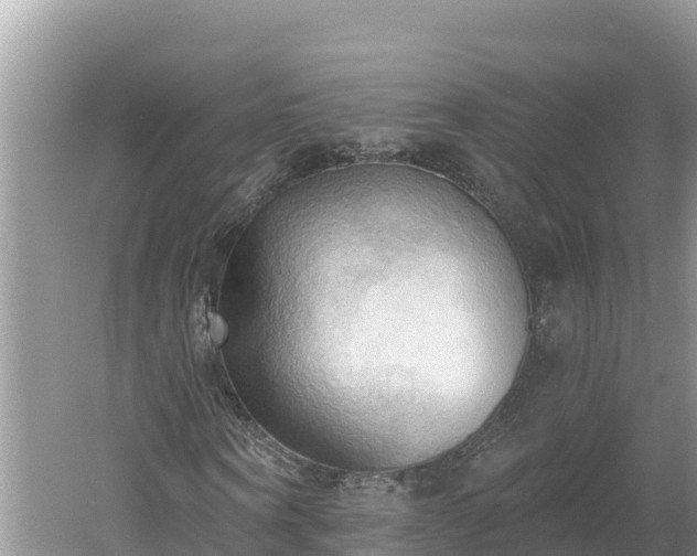 X0000060560866200511101601