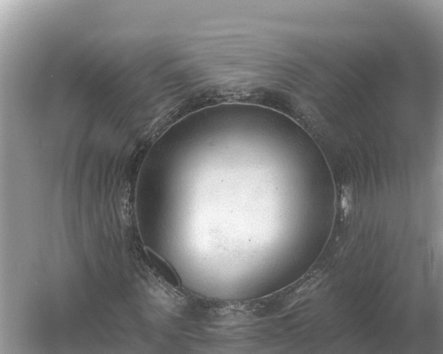 X0000060560867200511101601