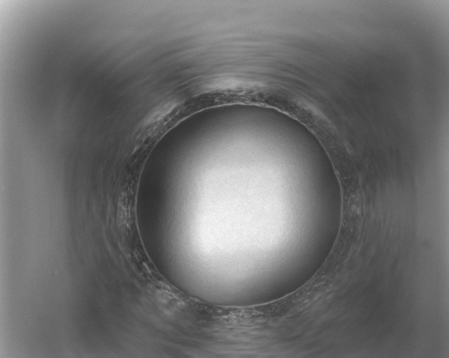 X0000060560869200511101601