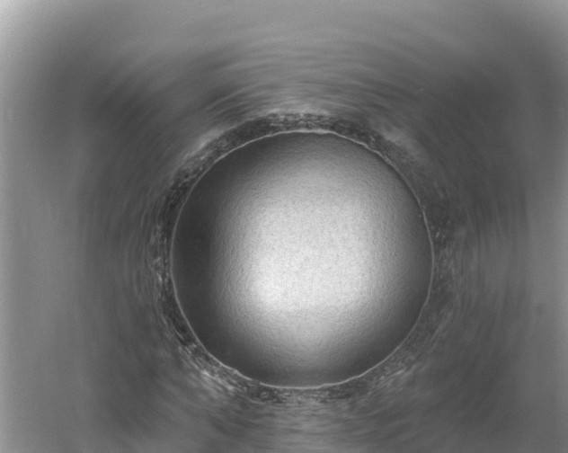 X0000060560870200511101601