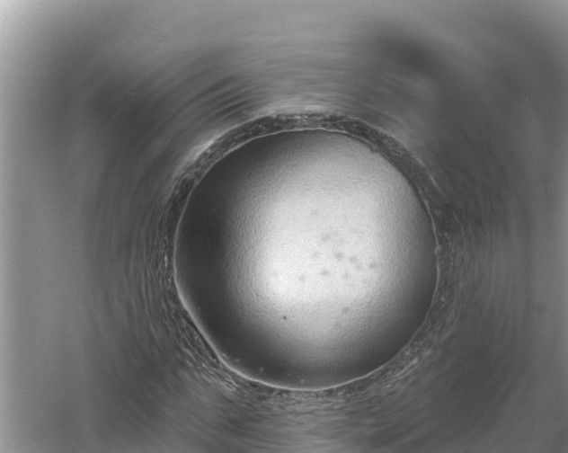 X0000060560871200511101601