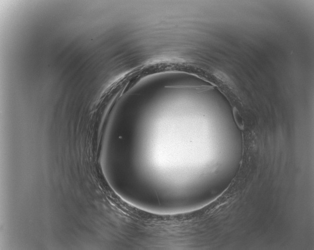 X0000060560872200511101601