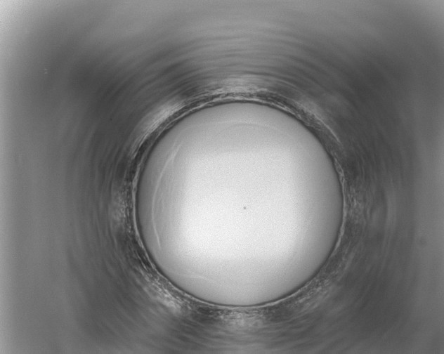 X0000060560874200511101601