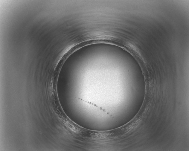 X0000060560875200511101601