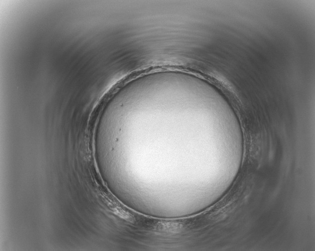 X0000060560878200511101601