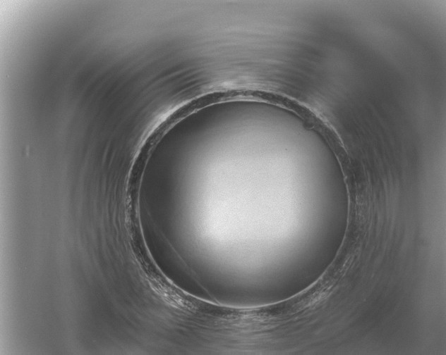 X0000060560879200511101600