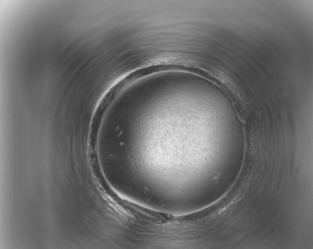 X0000060560880200511101600