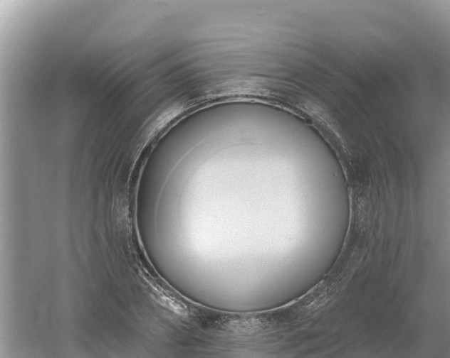 X0000060560882200511101600