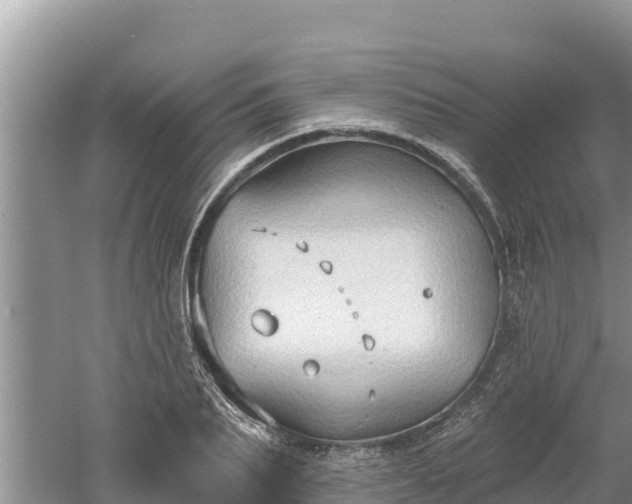 X0000060560887200511101600