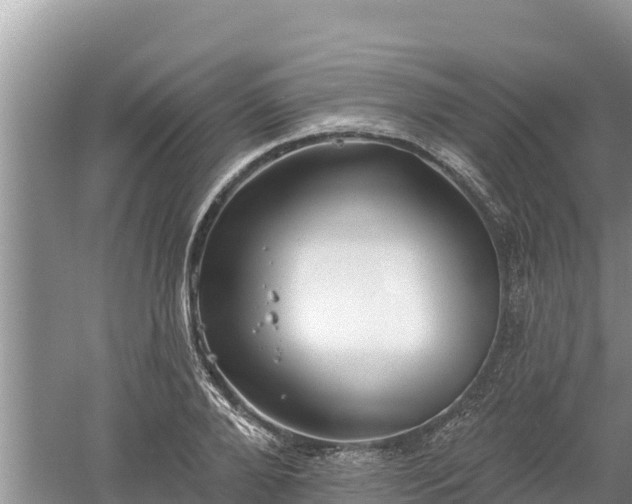 X0000060560888200511101600