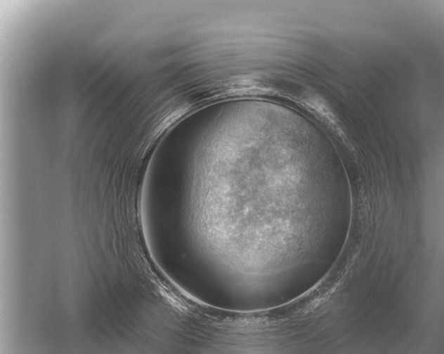 X0000060560889200511101600