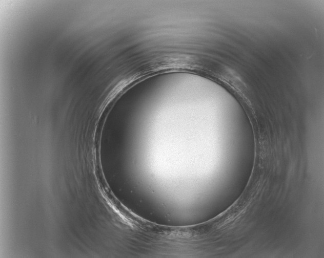 X0000060560890200511101600