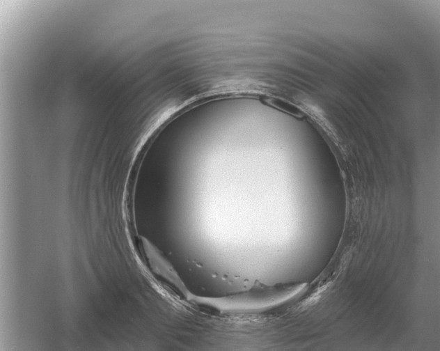 X0000060560893200511101600