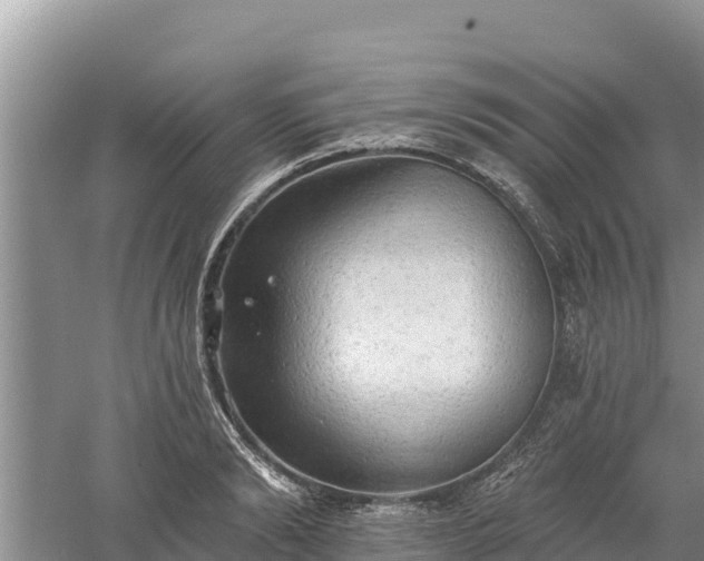 X0000060560894200511101600