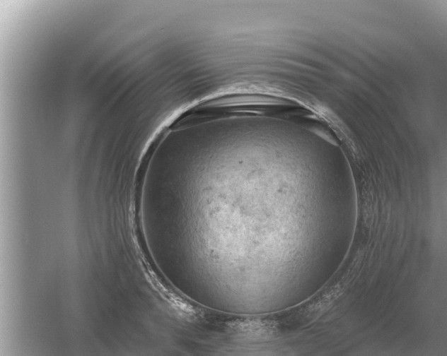 X0000060560896200511101600