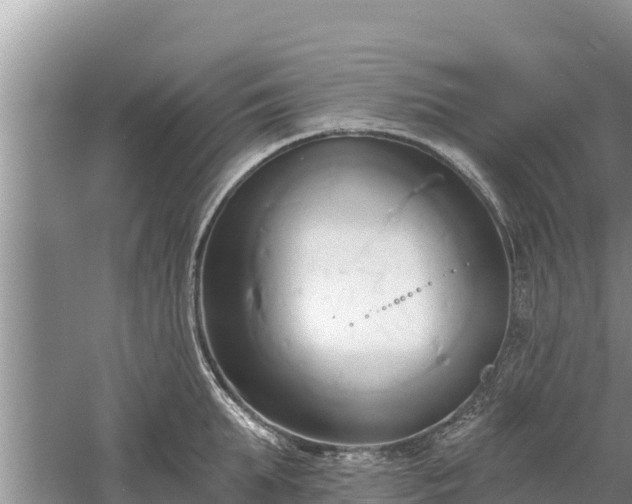 X0000060560903200511101600