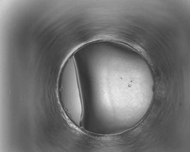 X0000060560904200511101600