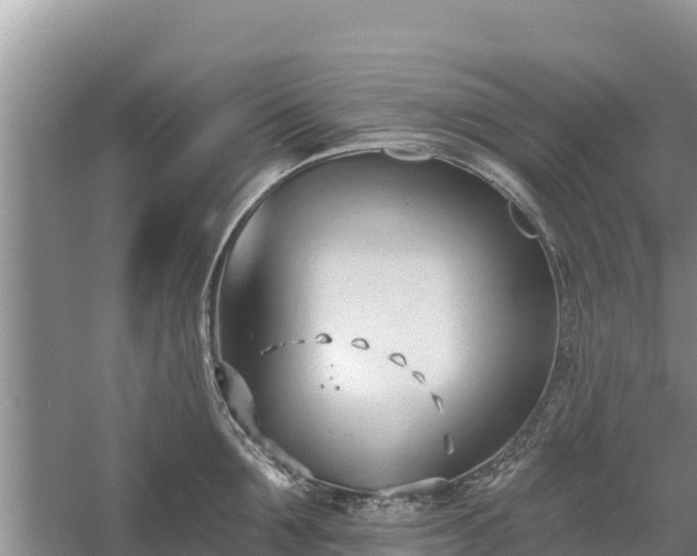 X0000060560907200511101600