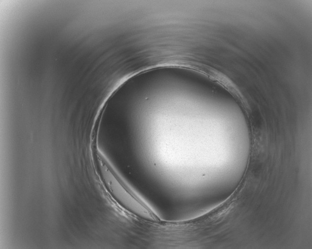 X0000060560908200511101600