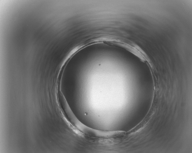 X0000060560909200511101600