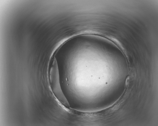 X0000060560910200511101600