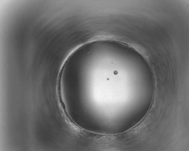 X0000060560912200511101600