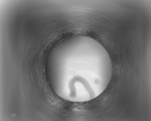 X0000060560913200511101559