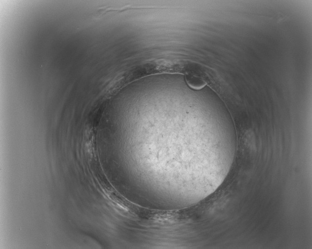 X0000060560914200511101559