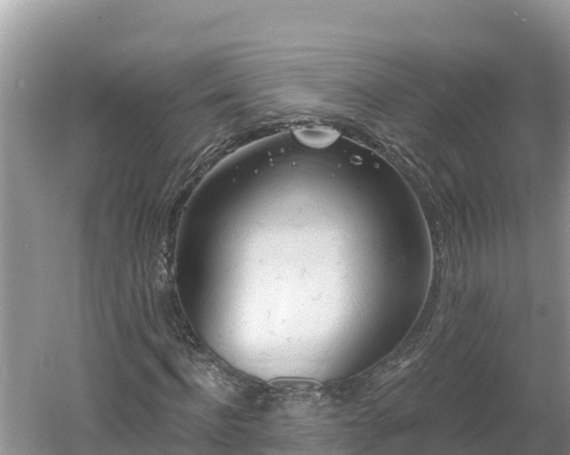 X0000060560916200511101559