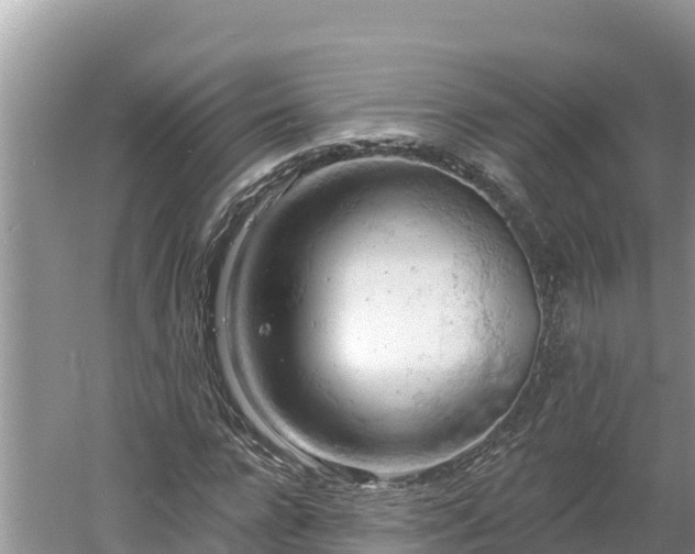 X0000060560920200511101559