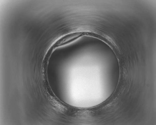 X0000060560926200511101559