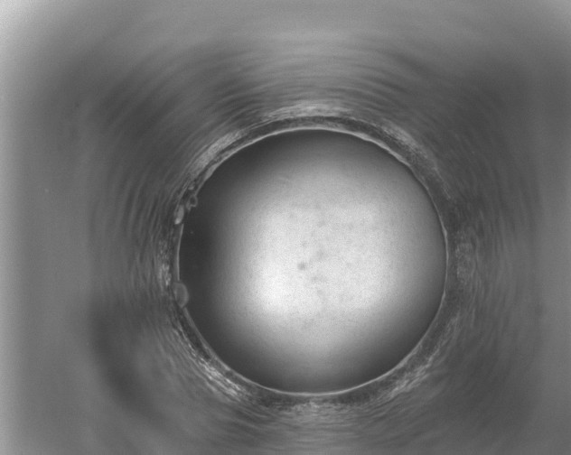 X0000060560929200511101559