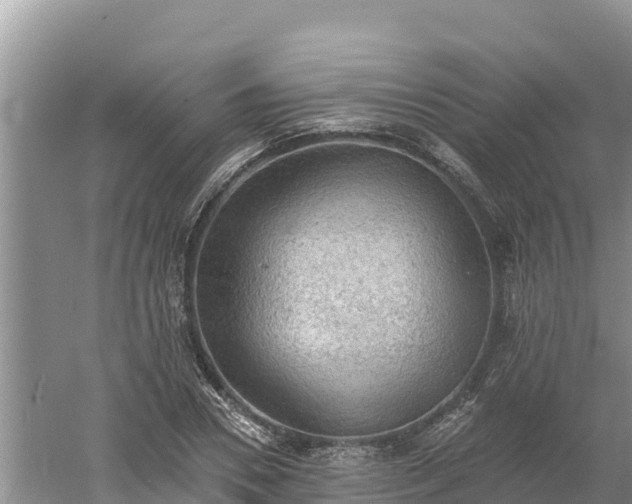 X0000060560930200511101559