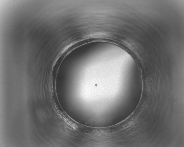 X0000060560931200511101559