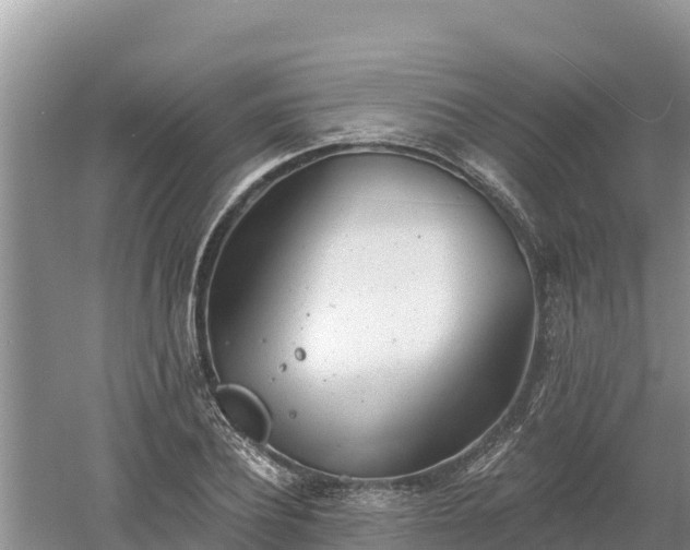 X0000060560932200511101559