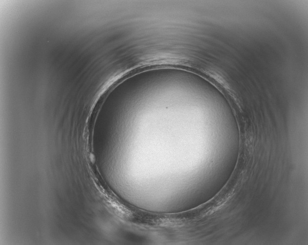 X0000060560933200511101559