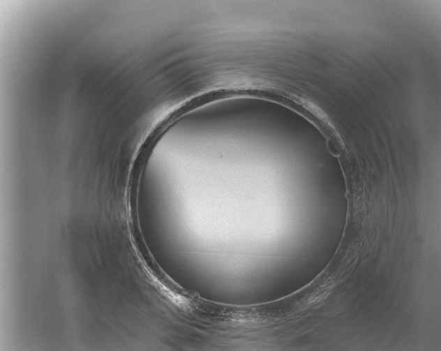 X0000060560935200511101559