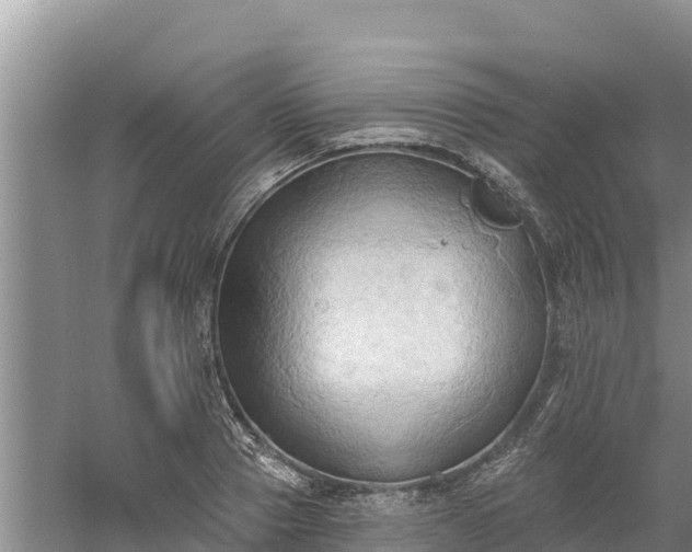 X0000060560937200511101600