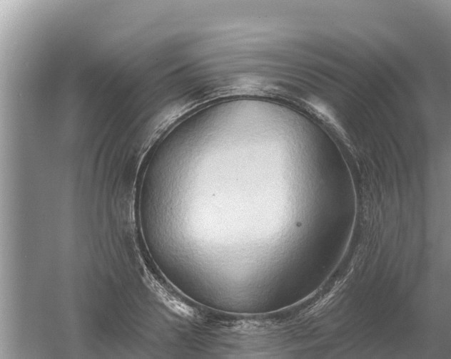 X0000060560938200511101600