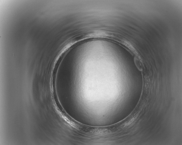 X0000060560939200511101600