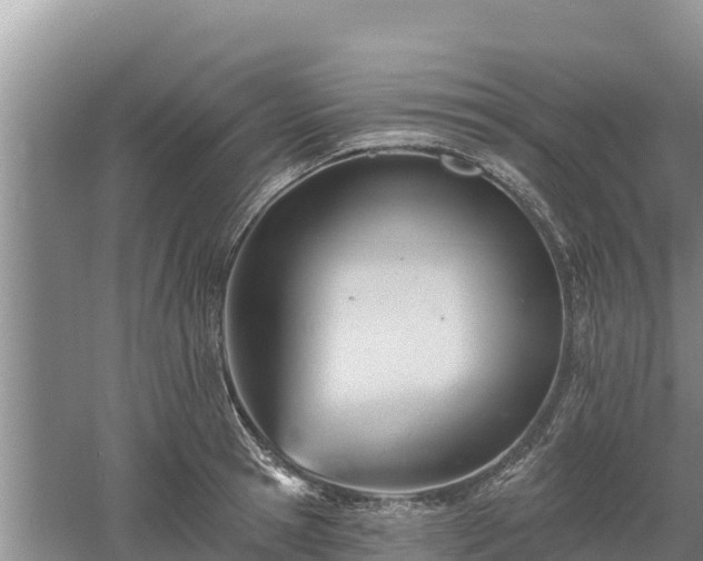 X0000060560945200511101600