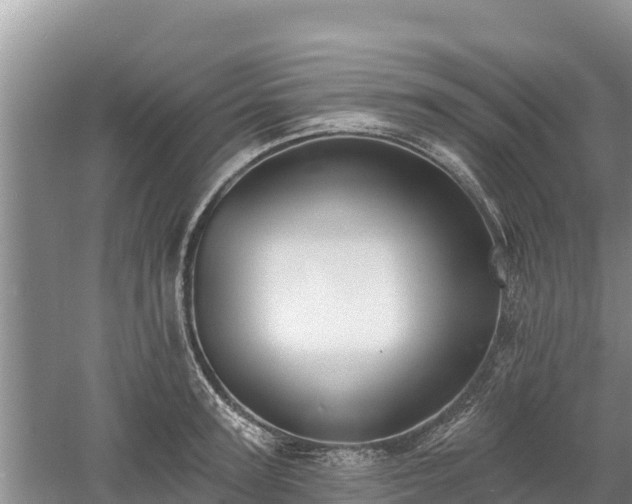 X0000060560947200511101600