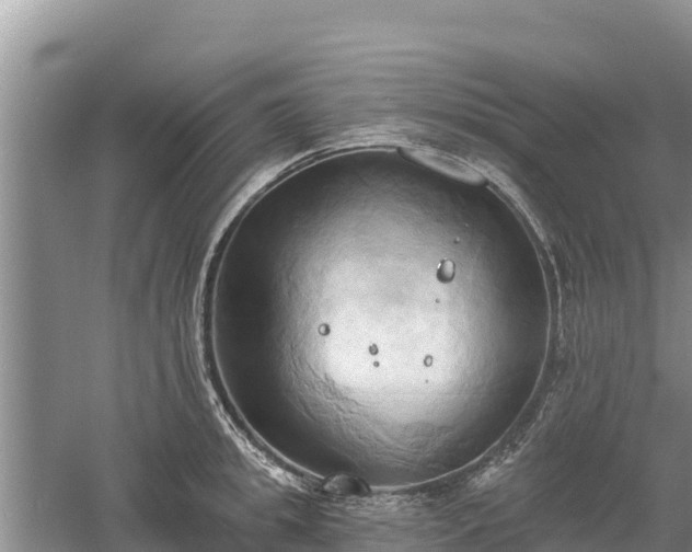 X0000060560949200511101600