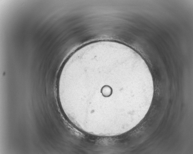 X0000060560950200511101600