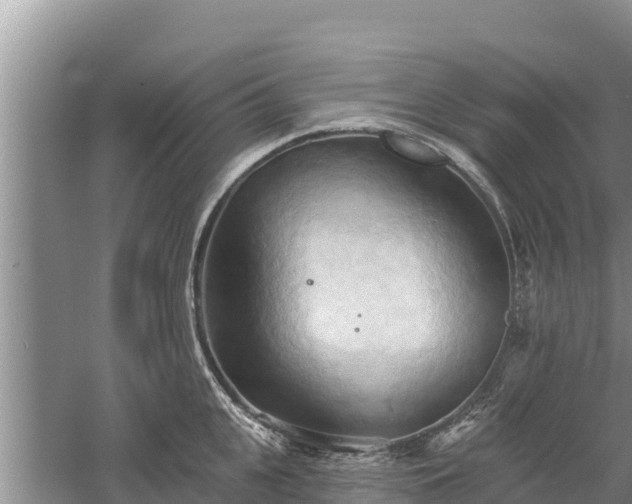 X0000060560951200511101600